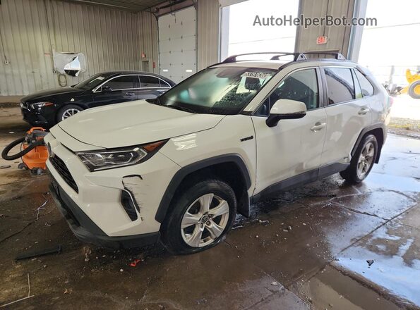 4T3RWRFV7MU012970 2021 TOYOTA RAV4 White 