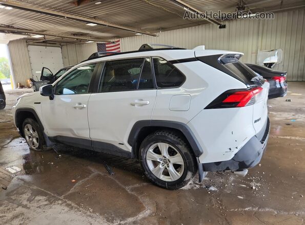 4T3RWRFV7MU012970 2021 TOYOTA RAV4 White 