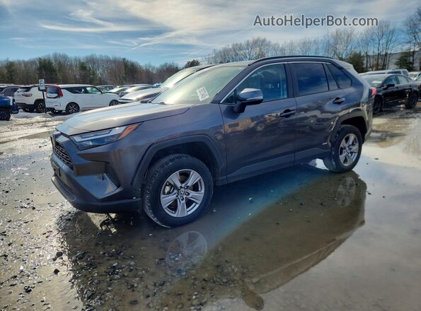 2024 TOYOTA RAV4 HYBRID