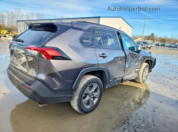 2024 TOYOTA RAV4 HYBRID