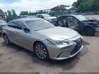 2019 Lexus Es 350   Gray vin: 58ABZ1B14KU027387
