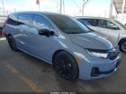 2025 Honda Odyssey Sport-l Gray vin: 5FNRL6H74SB078174