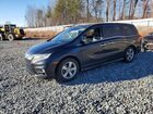 2019 Honda Odyssey Exl Black vin: 5FNRL6H79KB097805