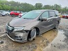2019 Honda Odyssey Elite Gray vin: 5FNRL6H97KB047518