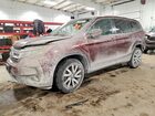 2019 Honda Pilot Exl Burgundy vin: 5FNYF6H59KB010082