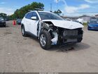 2024 Hyundai Tucson Sel White vin: 5NMJB3DE7RH379923