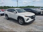 2024 Hyundai Tucson Sel White vin: 5NMJB3DE8RH421645