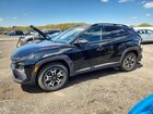 2025 Hyundai Tucson Xrt Black vin: 5NMJFCDE5SH566622