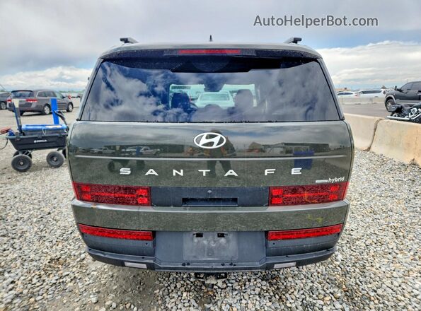 5NMP2DG10RH003718 2024 HYUNDAI SANTA Green უკანა ხედი