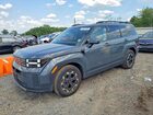 2024 Hyundai Santa Fe Sel Gray vin: 5NMP2DGL6RH067389