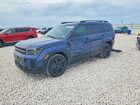 2025 Hyundai Santa Fe Calligraphy Blue vin: 5NMP54G15SH056704