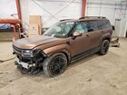2025 Hyundai Santa Fe Calligraphy Brown vin: 5NMP5DG16SH050183