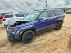 2025 Hyundai Santa Fe Calligraphy Blue vin: 5NMP5DG18SH040187
