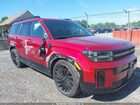 2024 Hyundai Santa Fe Calligraphy Red vin: 5NMP5DGL2RH030833