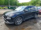 2023 Hyundai Santa Fe Sel Black vin: 5NMS24AJ1PH619251