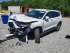 2023 Hyundai Santa Fe Sel White vin: 5NMS2DAJ3PH524996