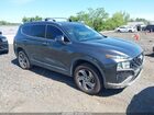 2023 Hyundai Santa Fe Sel Gray vin: 5NMS2DAJ3PH641719