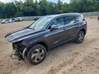 2023 Hyundai Santa Fe Sel Gray vin: 5NMS2DAJ9PH545478