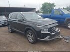 2023 Hyundai Santa Fe Sel Black vin: 5NMS2DAJXPH611987