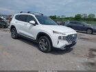 2023 Hyundai Santa Fe Sel Белый vin: 5NMS3DAJ6PH618996