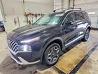 2023 Hyundai Santa Fe Limited Black vin: 5NMS5DA17PH020300