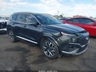 2023 Hyundai Santa Fe Calligraphy Gray vin: 5NMS5DAL3PH603447