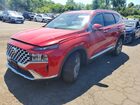 2021 Hyundai Santa Fe Sel Red vin: 5NMS6DAJ0MH340387