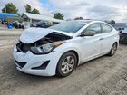 2016 Hyundai Elantra Se White vin: 5NPDH4AEXGH700505