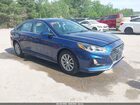 2019 Hyundai Sonata Eco Blue vin: 5NPE24AA5KH774281