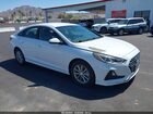 2019 Hyundai Sonata Eco White vin: 5NPE24AA8KH775280