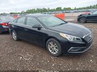 2017 Hyundai Sonata   Black vin: 5NPE24AF0HH504315
