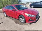 2019 Hyundai Sonata Se Красный vin: 5NPE24AF0KH792103