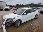 2016 Hyundai Sonata Белый vin: 5NPE24AF2GH358868