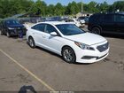 2017 Hyundai Sonata   White vin: 5NPE24AF6HH569234