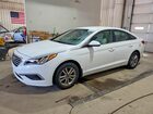 2016 Hyundai Sonata Se White vin: 5NPE24AF7GH294486