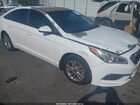 2016 Hyundai Sonata Se White vin: 5NPE24AF7GH326093