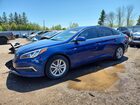 5NPE24AF7GH349342