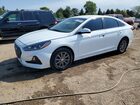 2019 Hyundai Sonata Se White vin: 5NPE24AF7KH802402