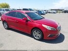 2017 Hyundai Sonata   Red vin: 5NPE24AFXHH534793
