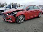 2019 Hyundai Sonata Se Red vin: 5NPE24AFXKH819730