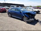 2017 Hyundai Sonata Sport Blue vin: 5NPE34AF0HH556864