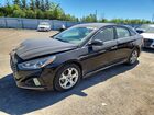 2019 Hyundai Sonata Sel Черный vin: 5NPE34AF0KH748227