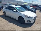 2019 Hyundai Sonata Sport White vin: 5NPE34AF1KH739357