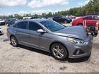 2019 Hyundai Sonata Sel Gray vin: 5NPE34AF3KH783991