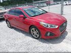 2019 Hyundai Sonata Sport Red vin: 5NPE34AF3KH815127