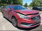 2016 Hyundai Sonata Sport Red vin: 5NPE34AF4GH423006