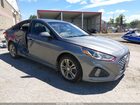 2019 Hyundai Sonata Sport Gray vin: 5NPE34AF4KH818618
