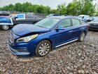 2017 Hyundai Sonata Sport Синий vin: 5NPE34AF5HH461393
