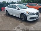 2017 Hyundai Sonata Sport White vin: 5NPE34AF5HH575054