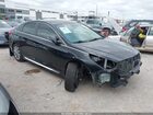 2017 Hyundai Sonata Sport Black vin: 5NPE34AF6HH540037